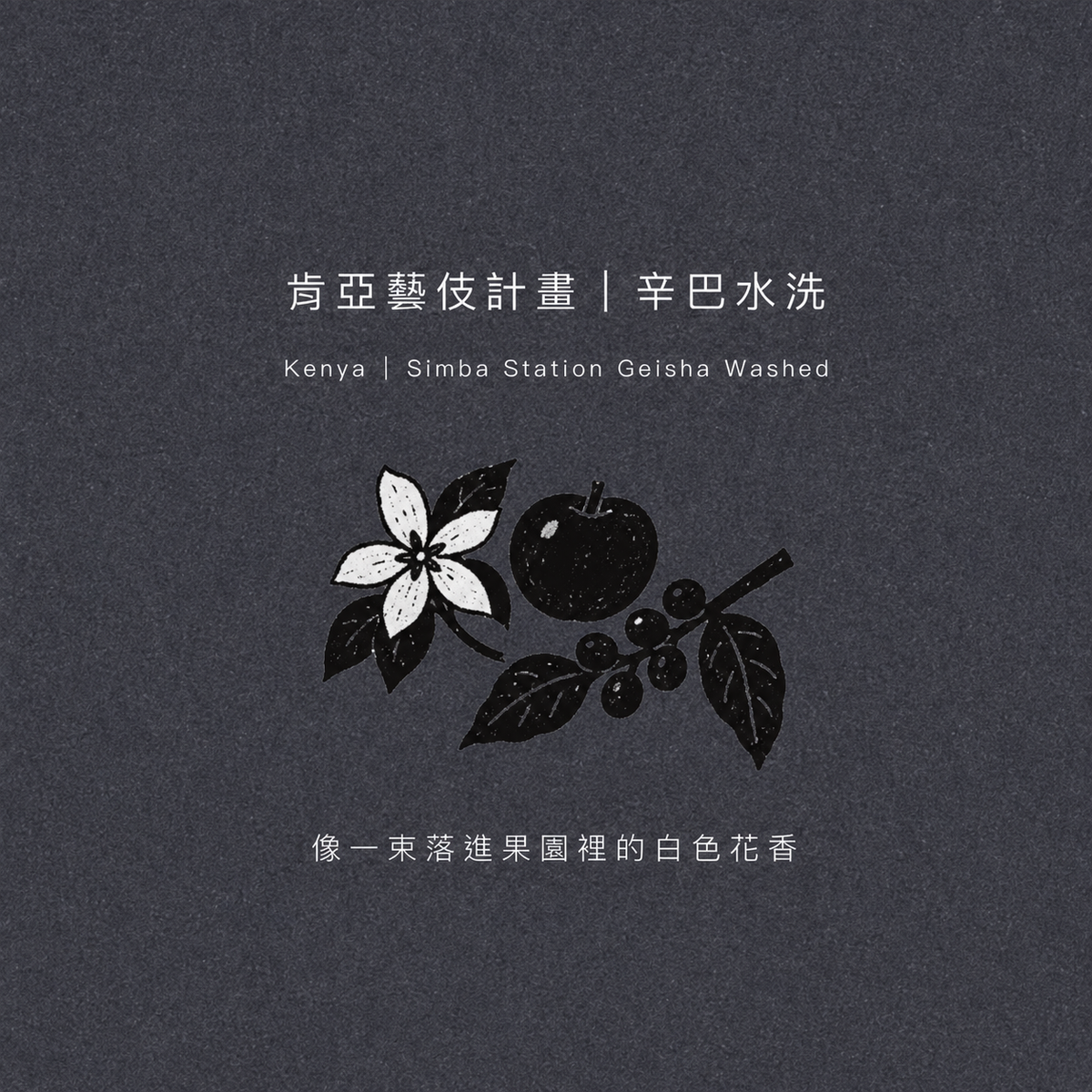 肯亞 辛巴處理站 藝伎 水洗