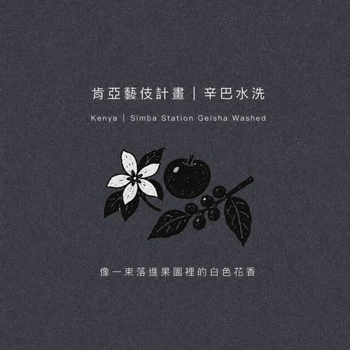 肯亞 辛巴處理站 藝伎 水洗